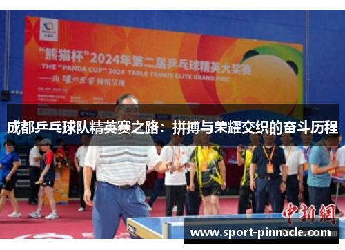 成都乒乓球队精英赛之路：拼搏与荣耀交织的奋斗历程