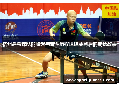 杭州乒乓球队的崛起与奋斗历程世锦赛背后的成长故事